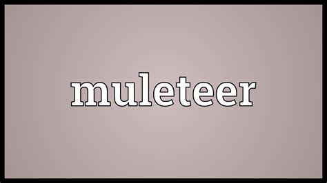 muleteer meaning.